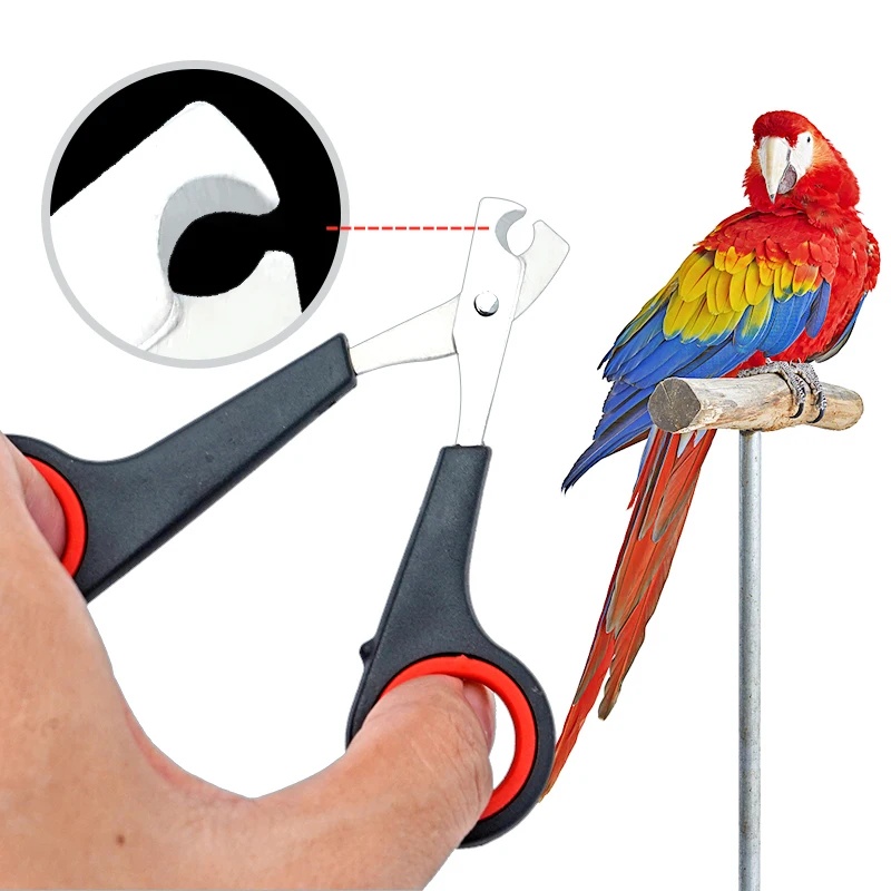 Grooming Scissors - 12cm Nożyczki do pazurów dla papug,