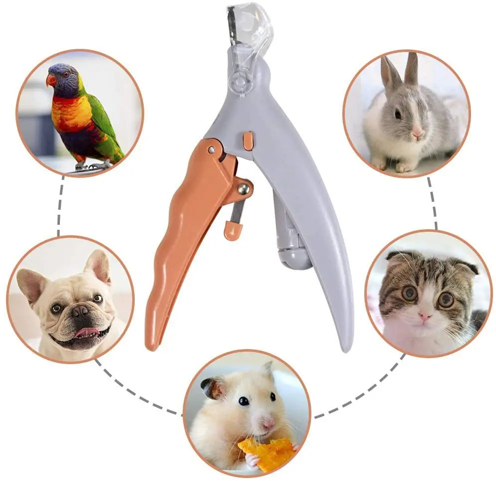Grooming Scissors - Profesjonalne nożyczki do pazurów dla kotów